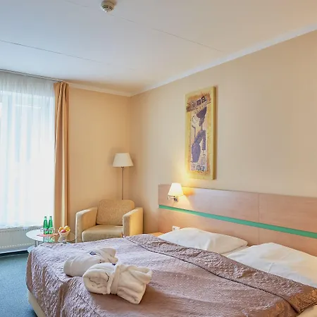 Brussel Hotel Františkovy Lázně